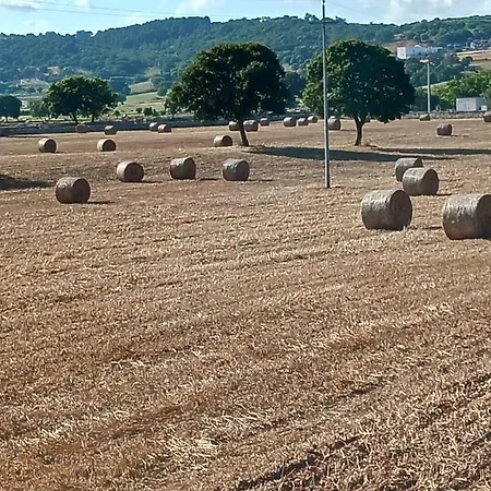 Su Monte Abele Villa