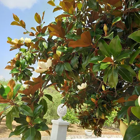 Villa Su Monte Abele