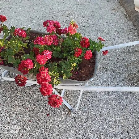 Villa Su Monte Abele Selva Di Fasano