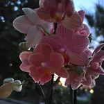 Su Monte Abele 别墅 塞尔瓦·迪·法萨诺