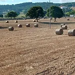 Su Monte Abele Villa