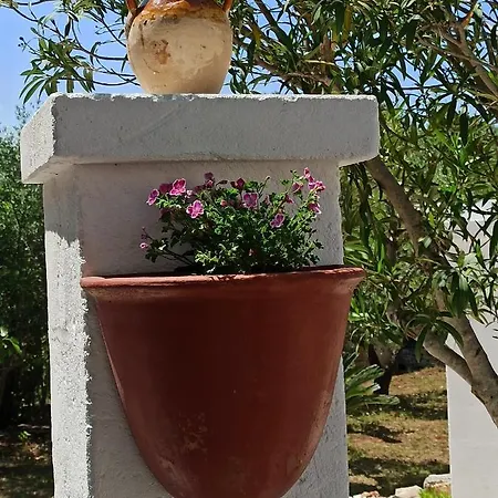 Su Monte Abele