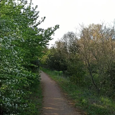 Su Monte Abele ヴィラ