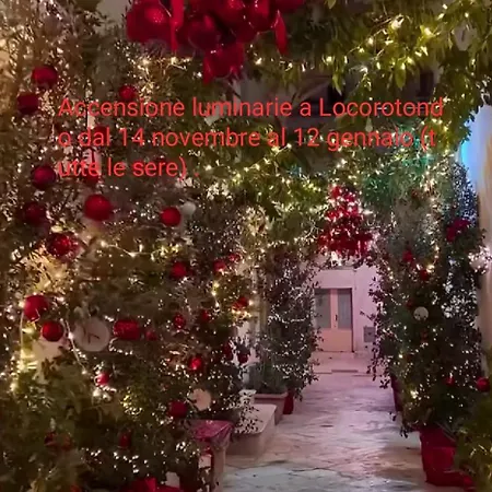 Su Monte Abele * Selva Di Fasano