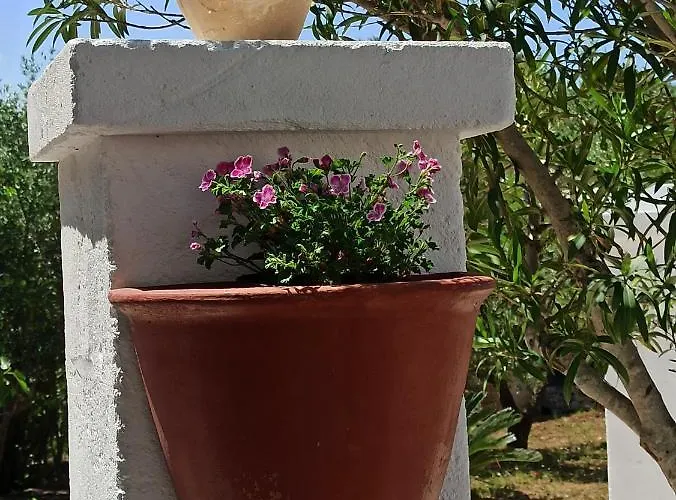 Su Monte Abele