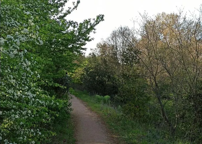 Su Monte Abele 别墅